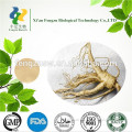 Best quality korean ginseng extract